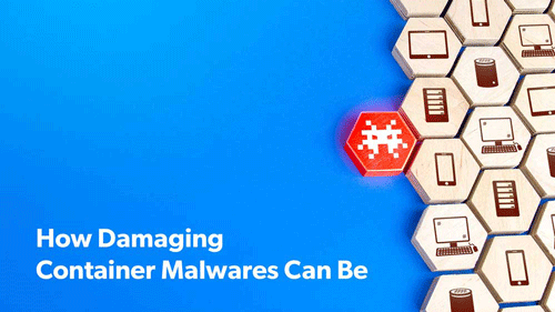 How Damaging Container Malwares Can Be